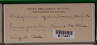 Image Associated With the Occurence